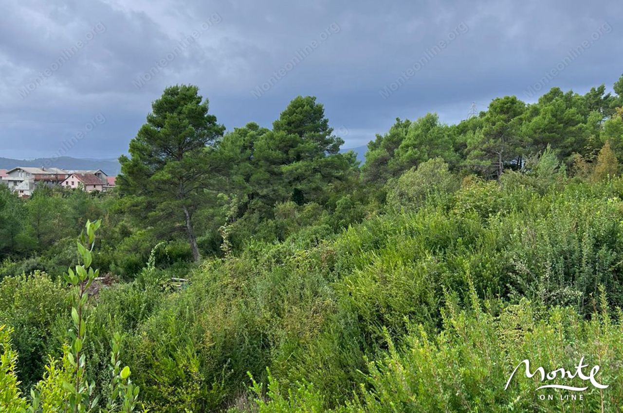 Land in Tivat, Montenegro, 1 219 m² - picture 7