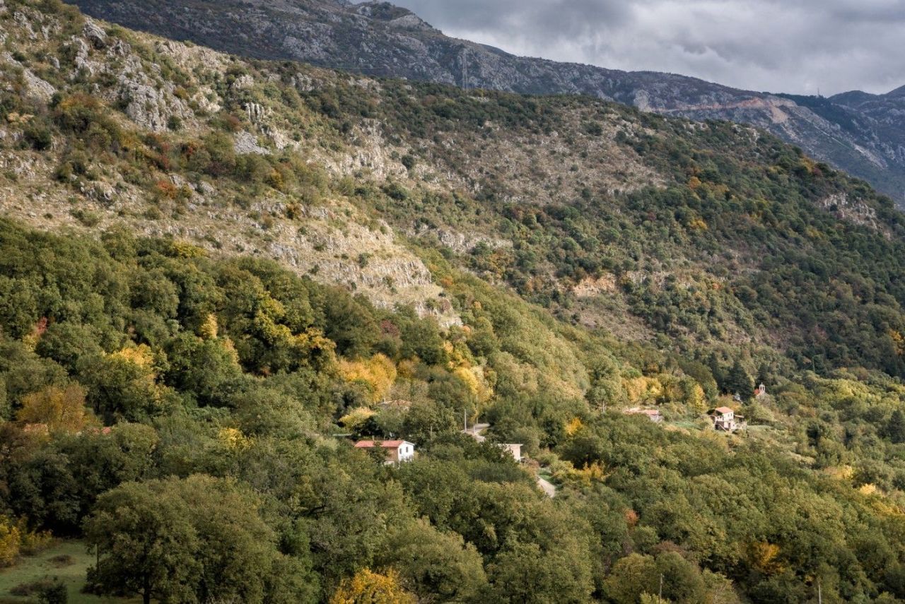 Terrain à Budva, Monténégro, 41 415 m² - image 11