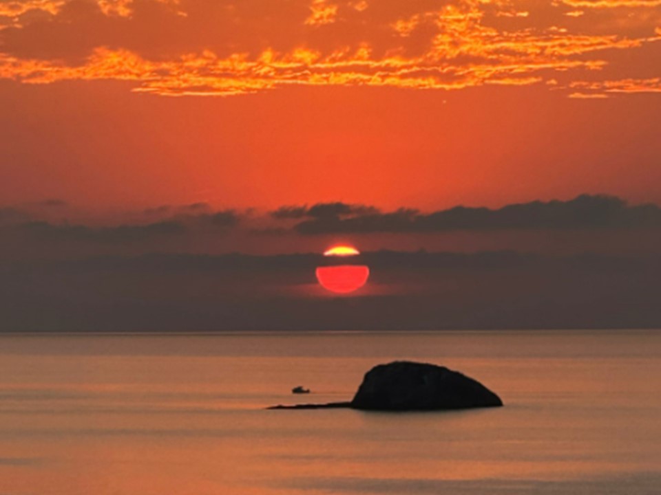 Grundstück in Giresun, Türkei, 6 500 m² - Foto 8