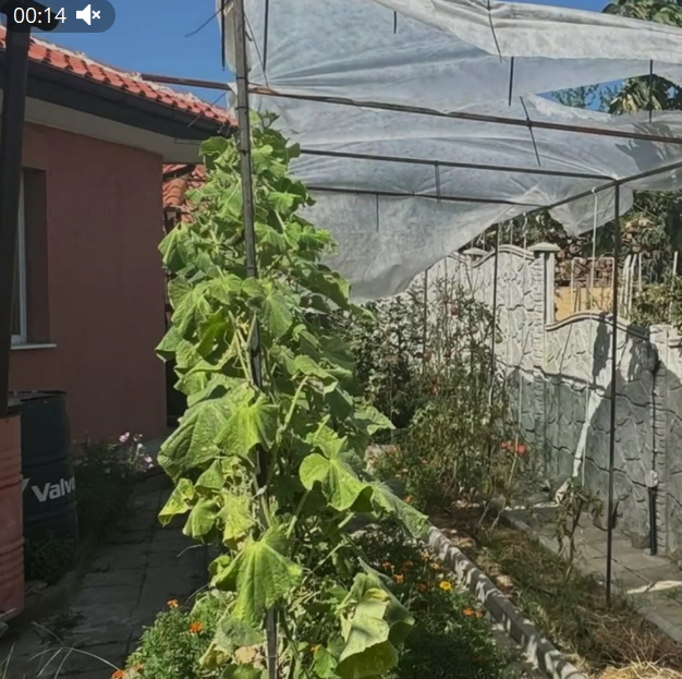 Cottage in Kosharitsa, Bulgaria, 160 m² - picture 1