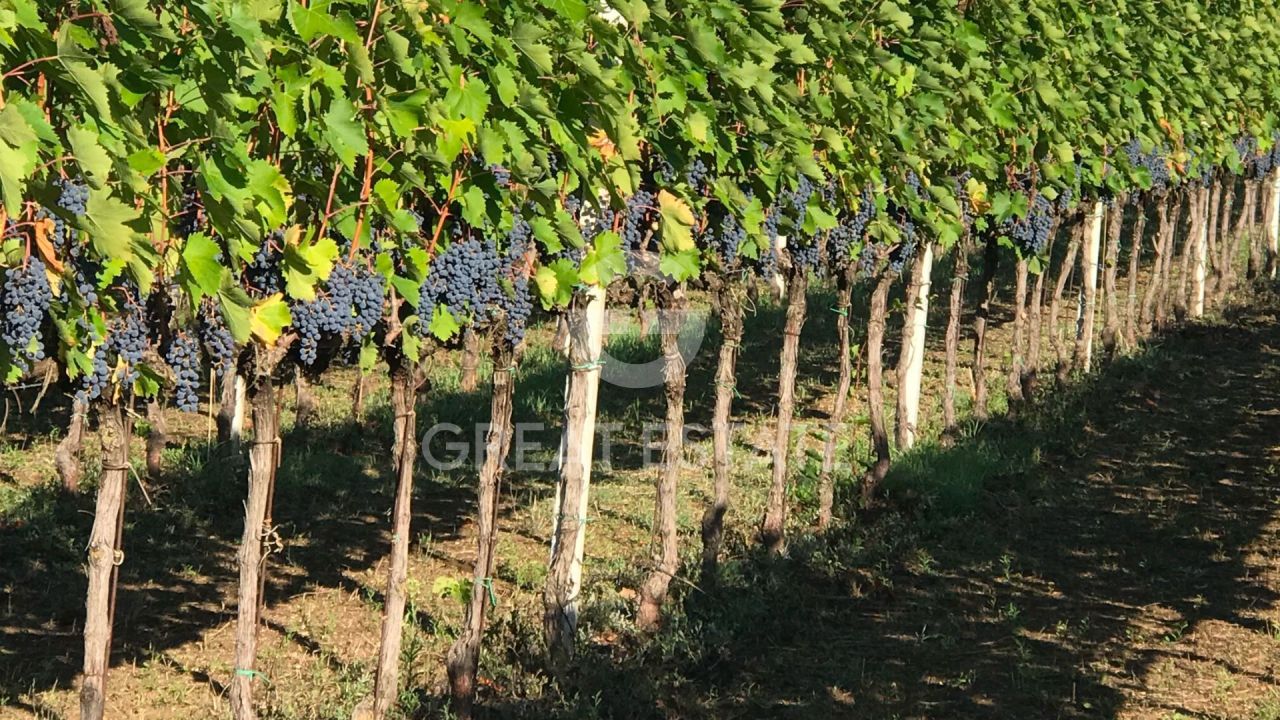 Casa en Montefalco, Italia, 581.75 m² - imagen 16