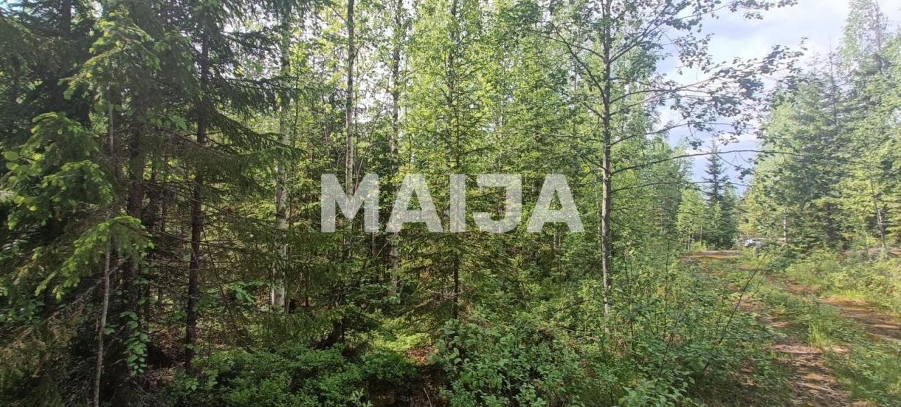 Terreno a Savonlinna, Finlandia, 10 000 m2 - foto 11