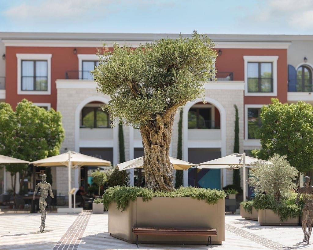 Apartment in Halbinsel Luštica, Montenegro, 64 m² - Foto 10