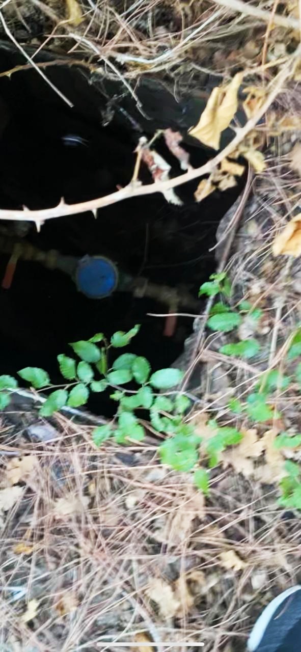 Land in Bar, Montenegro, 400 m² - picture 13