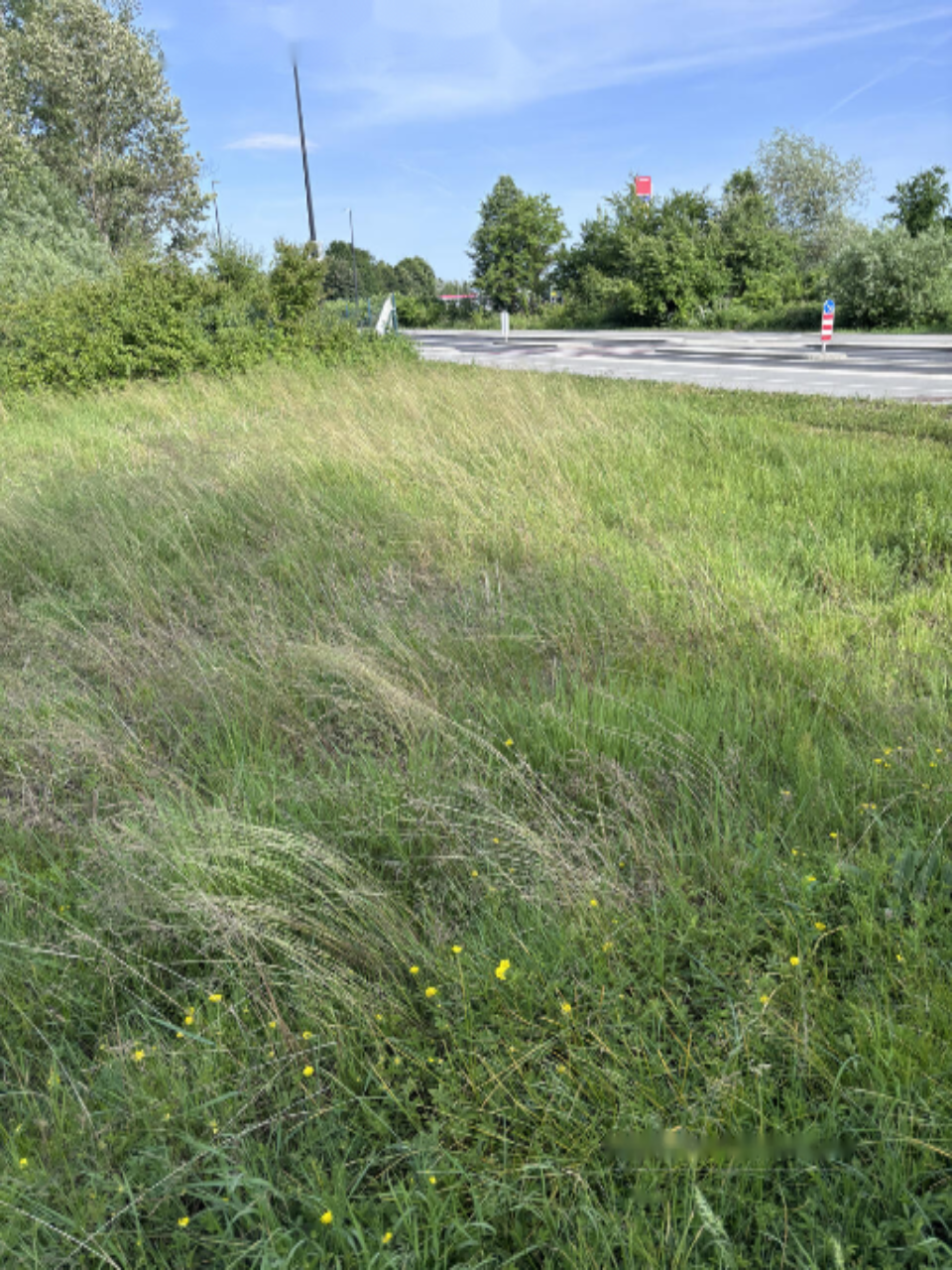 Terreno a Lubiana, Slovenia, 2 381 m2 - foto 1