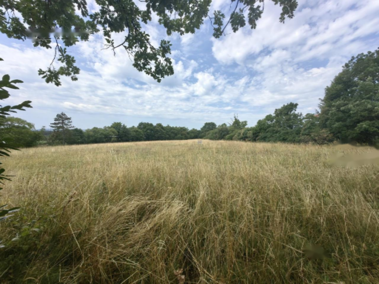 Casa en Miren-Kostanjevica, Eslovenia, 6 423 m² - imagen 4