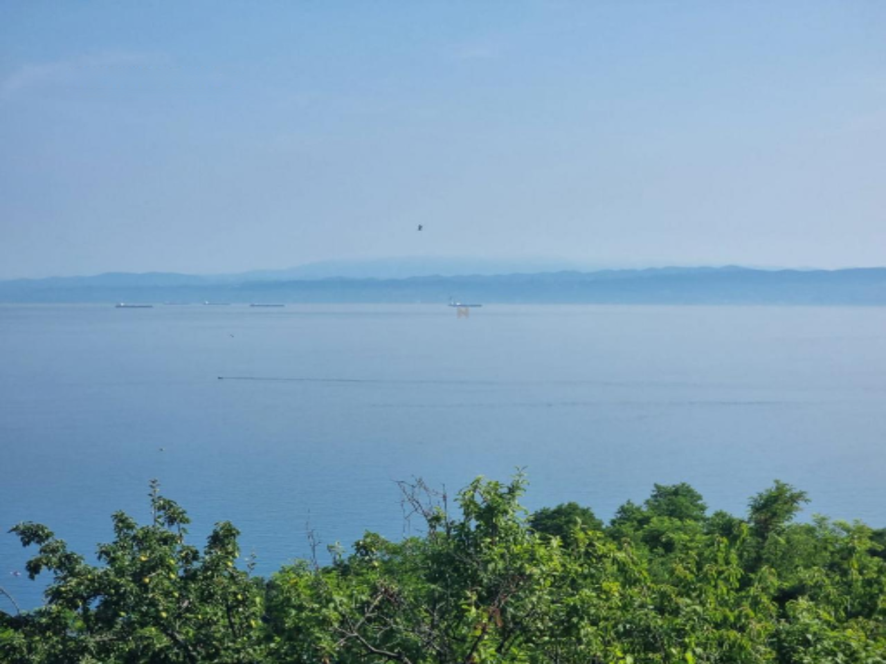 Casa a Isola, Slovenia, 454 m² - foto 4