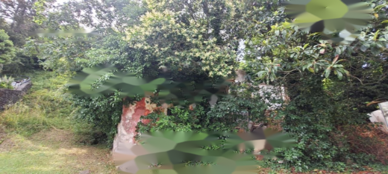 House in Lucija, Slovenia, 12 675 m² - picture 5