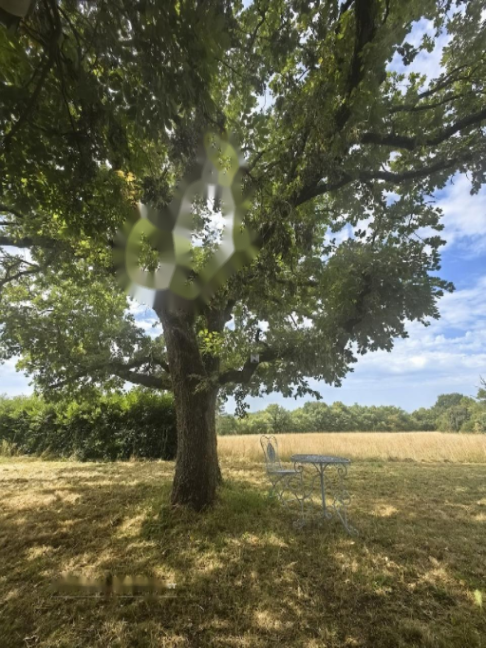 Casa en Miren-Kostanjevica, Eslovenia, 6 423 m² - imagen 6