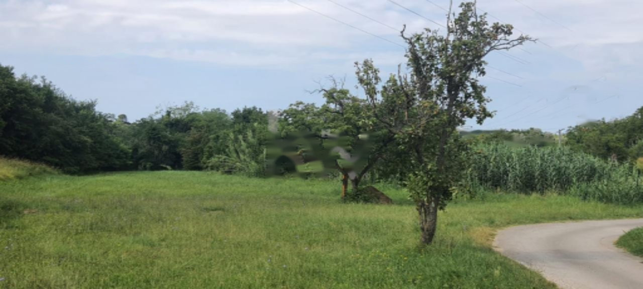 House in Lucija, Slovenia, 12 675 m² - picture 6