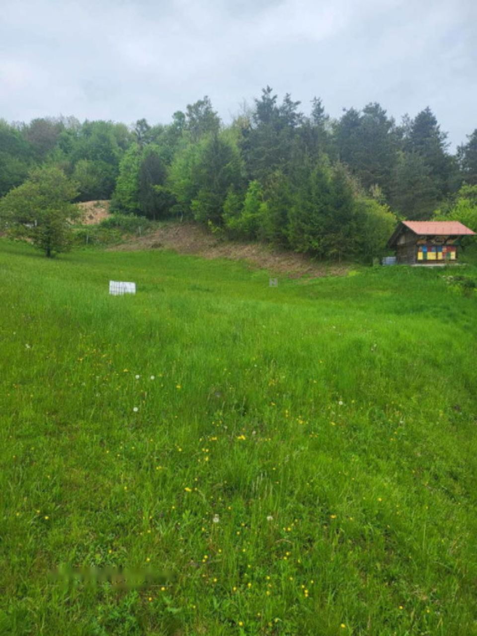Terreno a Lubiana, Slovenia, 2 808 m2 - foto 11