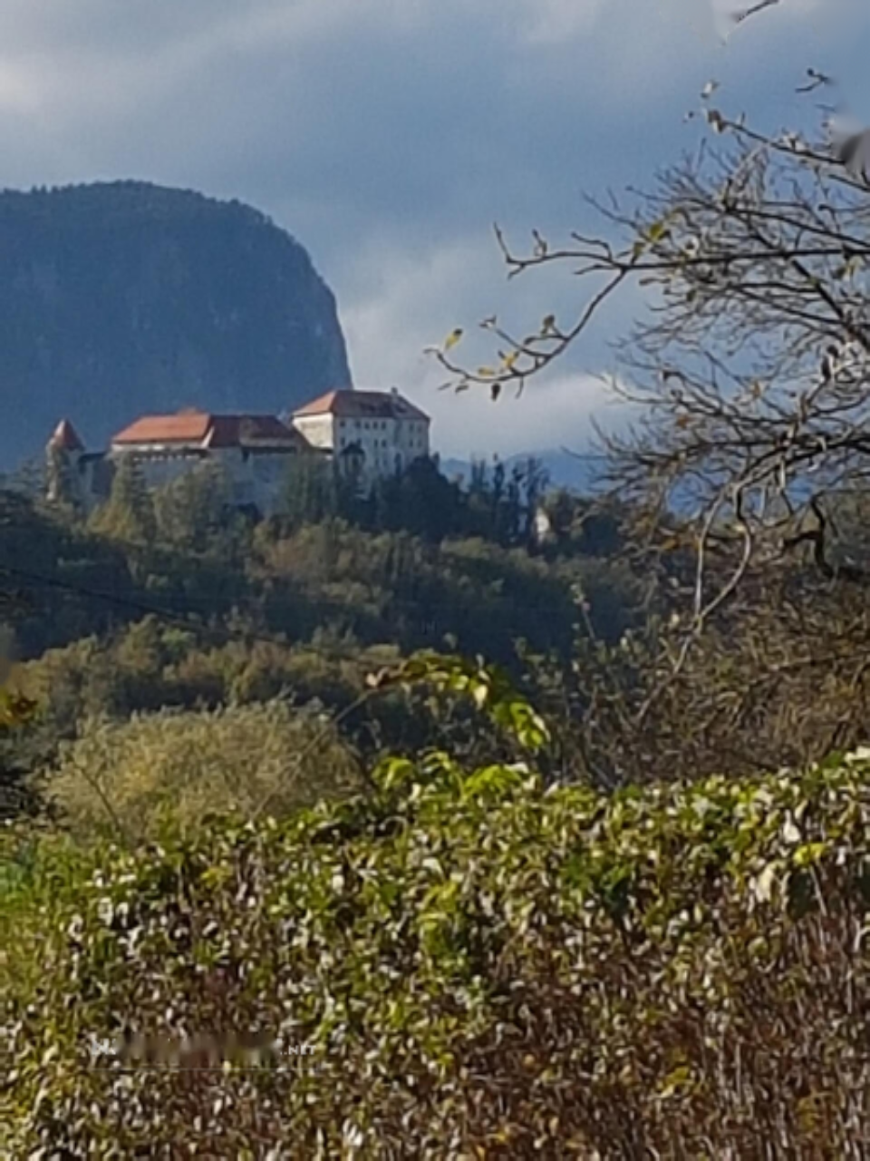 Haus in Bled, Slowenien, 240 m² - Foto 11