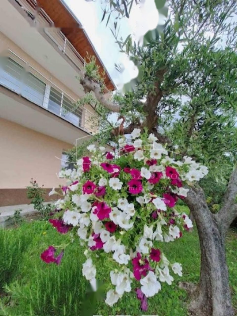 Casa en Portorož, Eslovenia, 270 m² - imagen 15