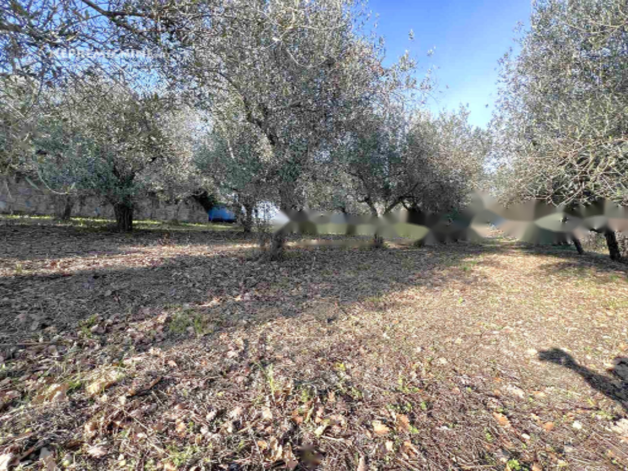 Casa a Pirano, Slovenia, 462 m² - foto 19