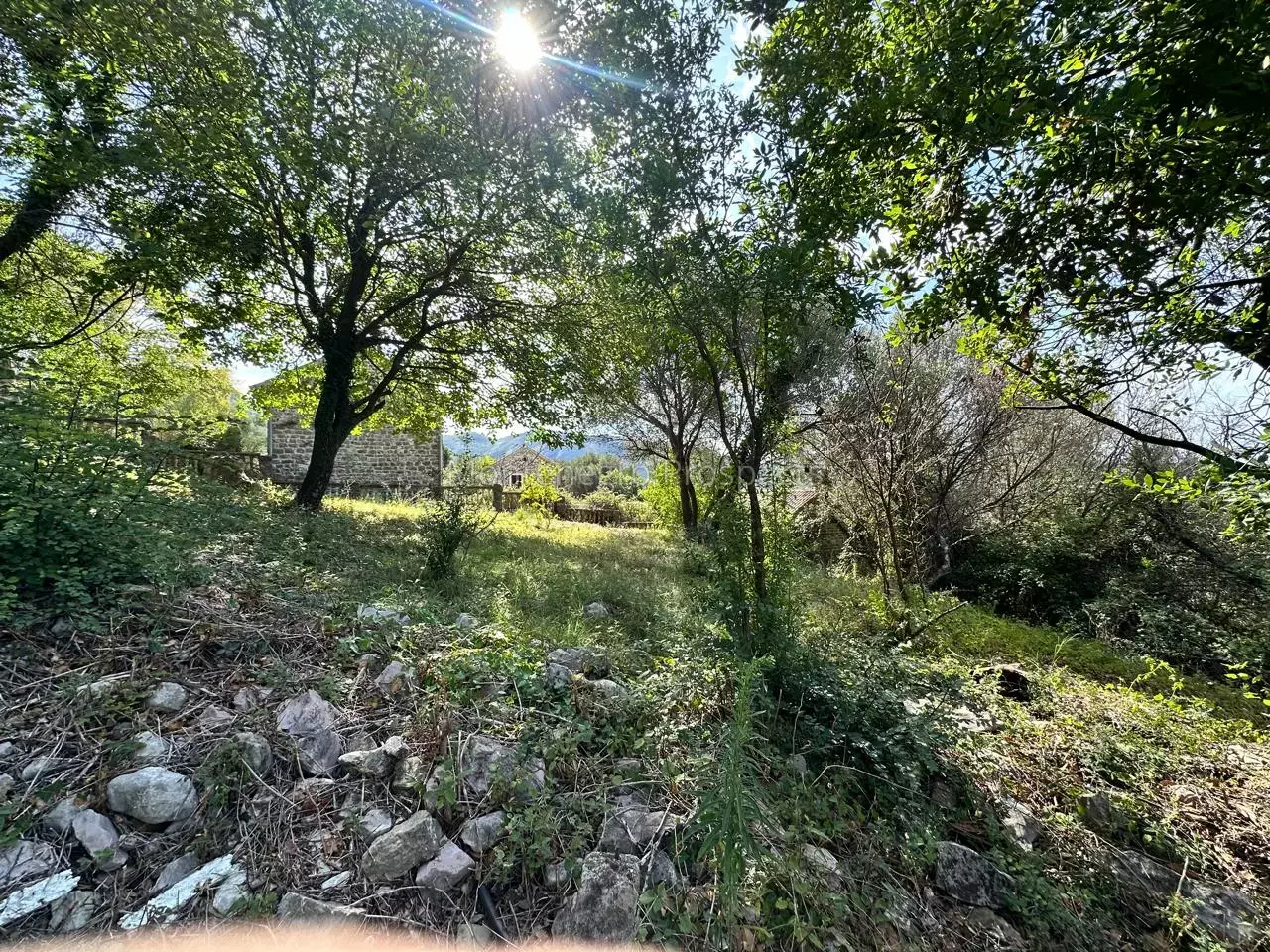 Terrain à Herceg-Novi, Monténégro, 5 265 m² - image 5