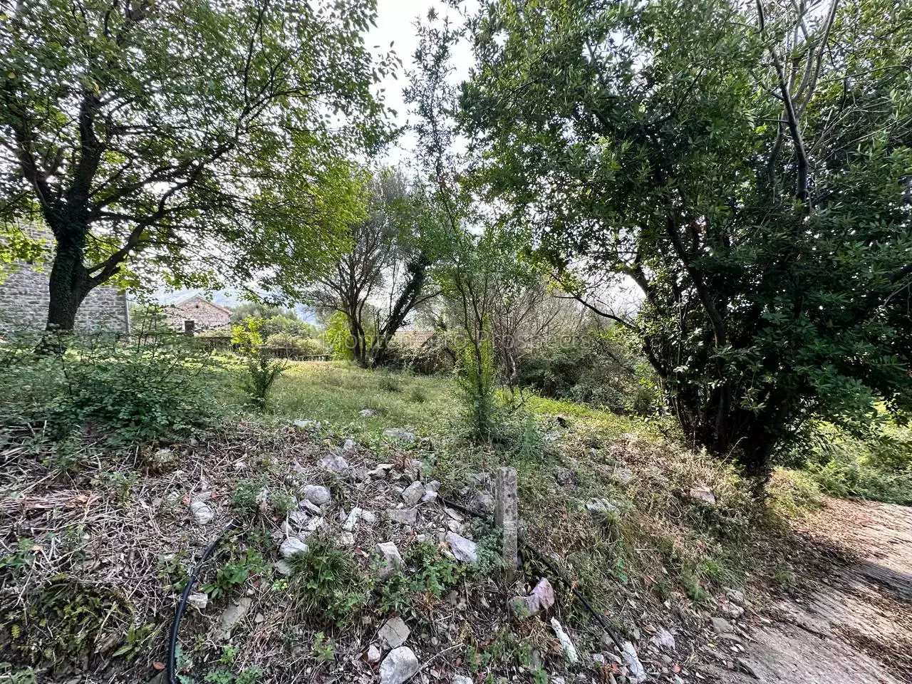 Terrain à Herceg-Novi, Monténégro, 5 265 m² - image 8