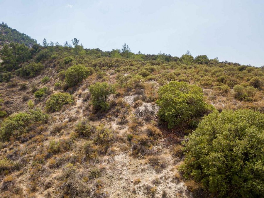 Grundstück in Limassol, Zypern, 5 352 m² - Foto 4