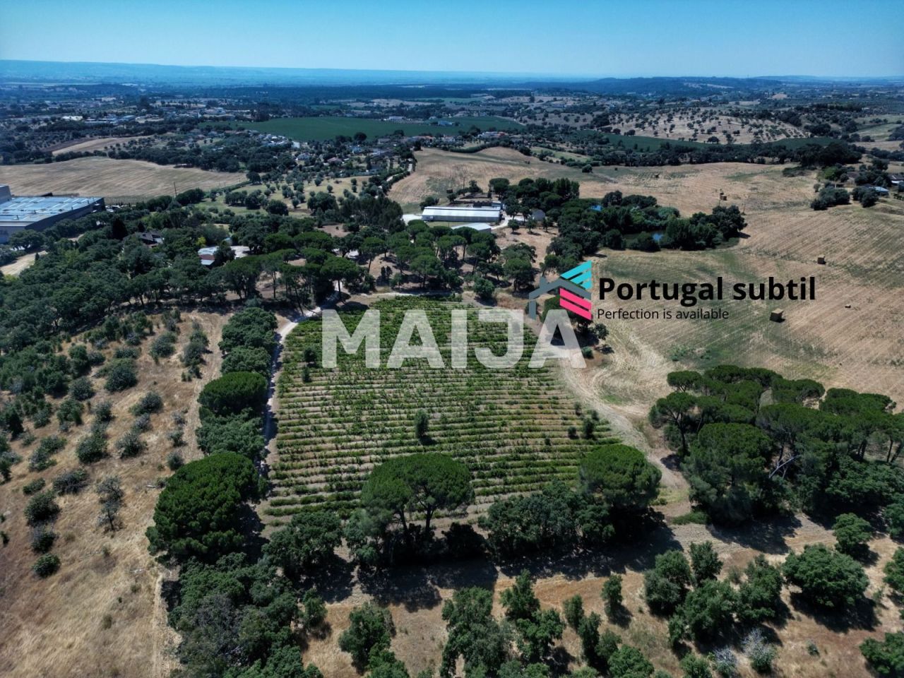 Grundstück in Torres Novas, Portugal, 385 099 m² - Foto 1