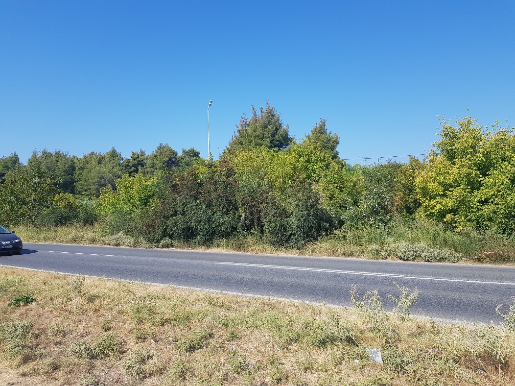 Terreno en Kassandra, Grecia, 1 500 m² - imagen 1