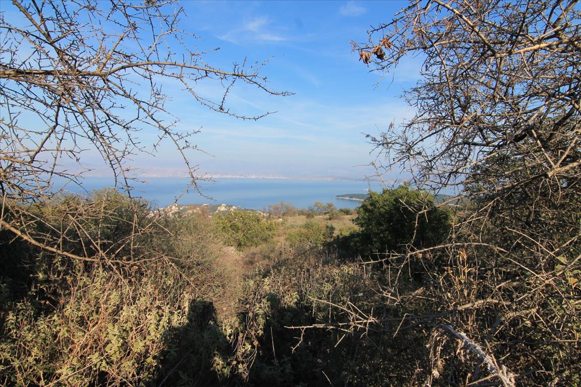 Terreno a Corfù, Grecia, 11 000 m2 - foto 3
