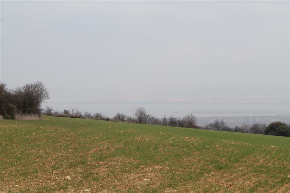 Land in Thessaloniki, Greece, 12 646 m² - picture 3
