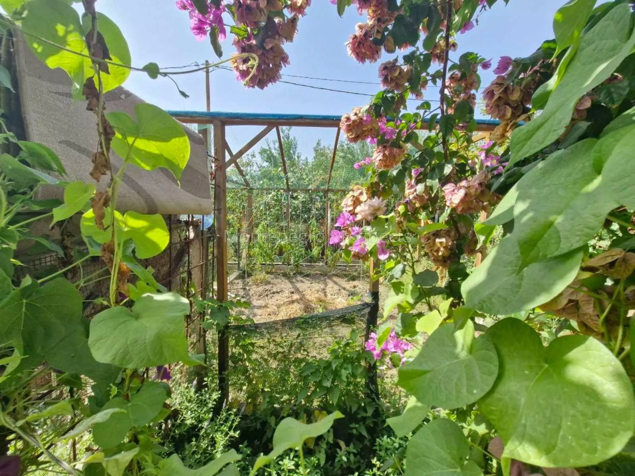 Land in Bar, Montenegro, 2 787 m² - picture 4