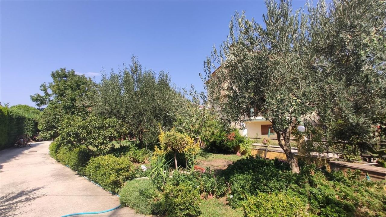 Casa en Sitonia, Grecia, 90 m² - imagen 3