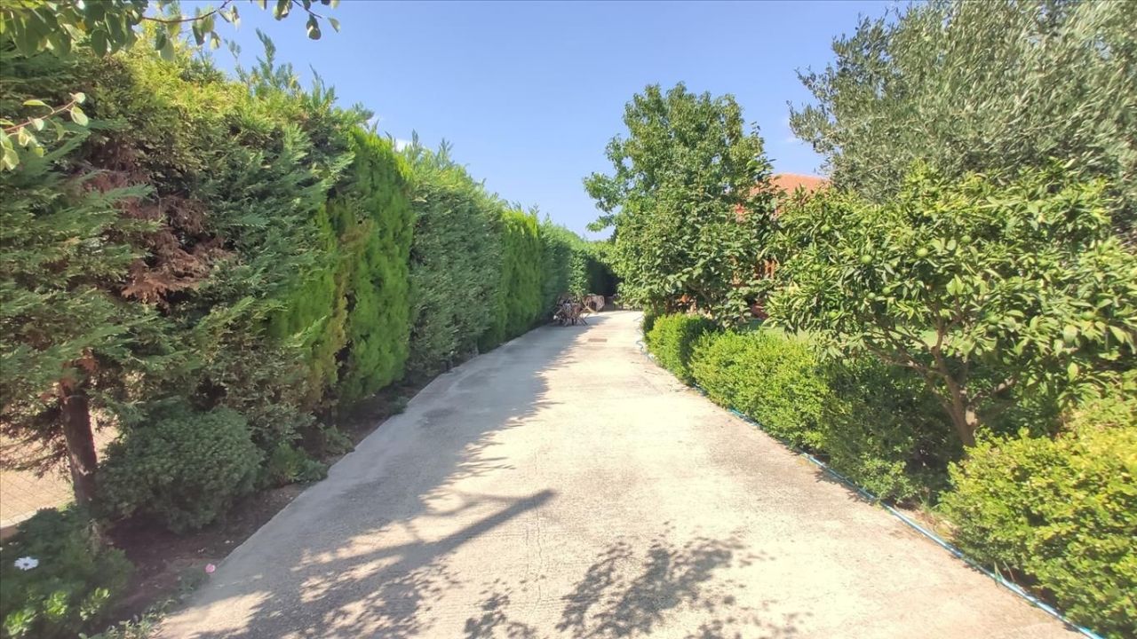 Casa en Sitonia, Grecia, 90 m² - imagen 5