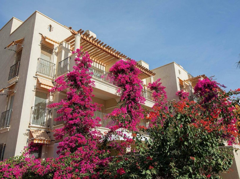 Appartamento a Sahl Hasheesh, Egitto, 89 m² - foto 2