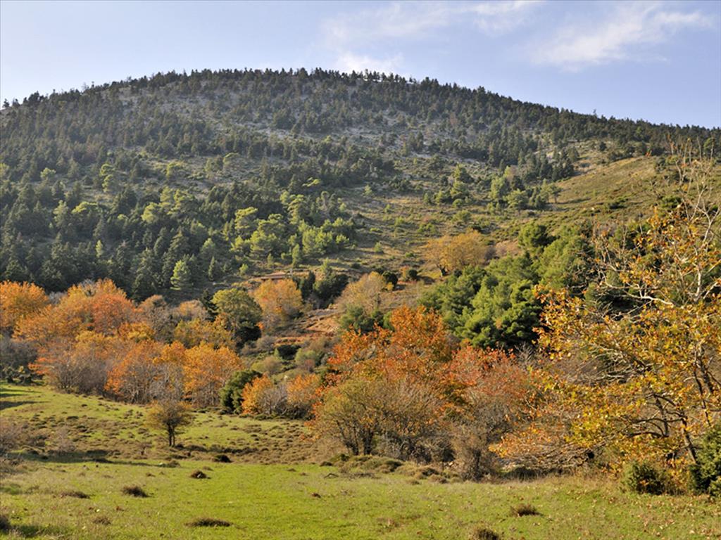 Hotel, albergo sull'Eubea, Grecia, 900 m² - foto 2