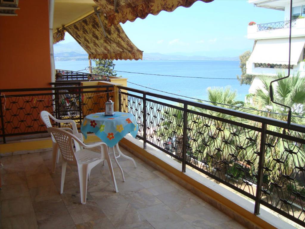 Hotel on Euboea, Greece, 700 m² - picture 2