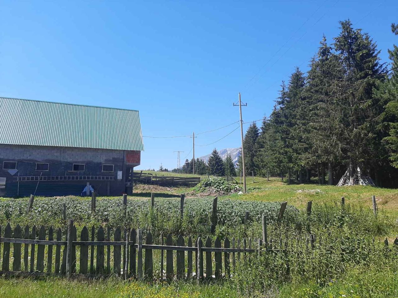 Terrain à Zabljak, Monténégro, 855 m² - image 5