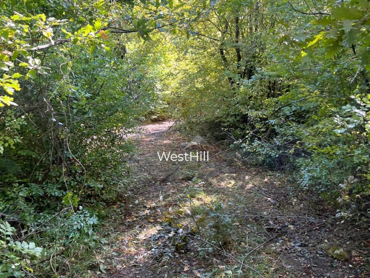 Terrain à Danilovgrad, Monténégro, 47 894 m² - image 4