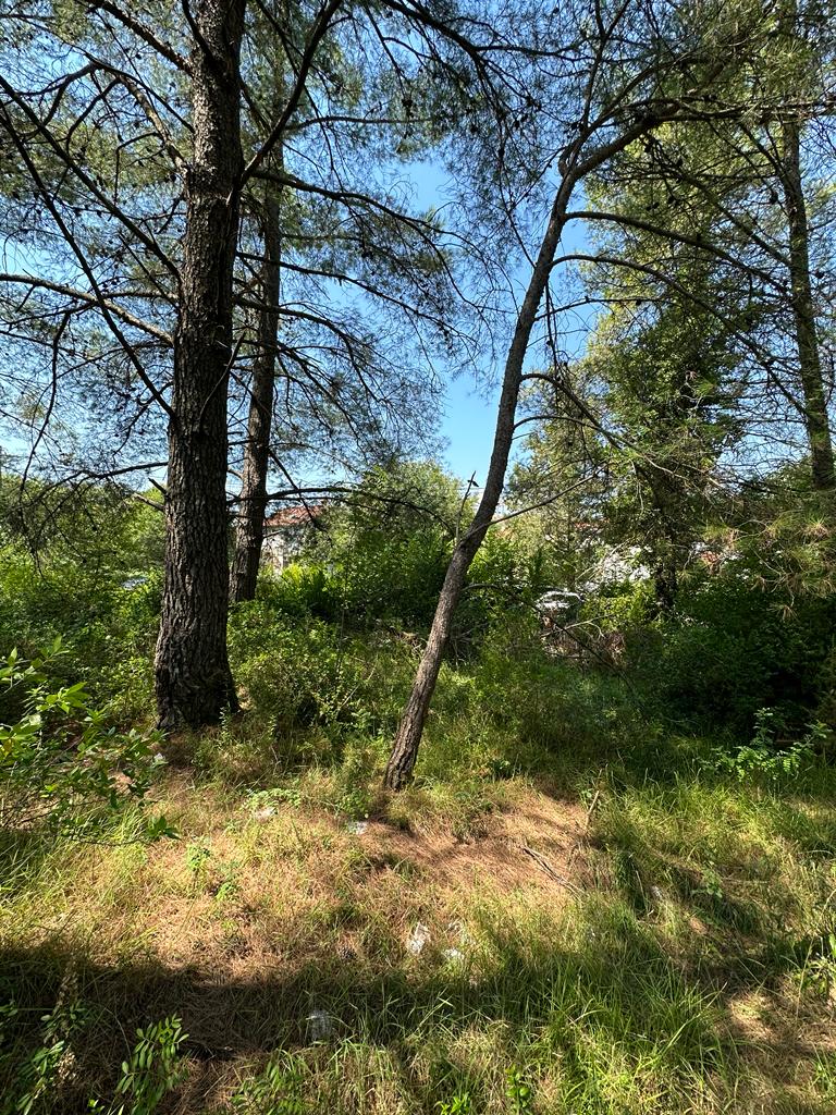 Terrain à Tivat, Monténégro, 671 m² - image 1