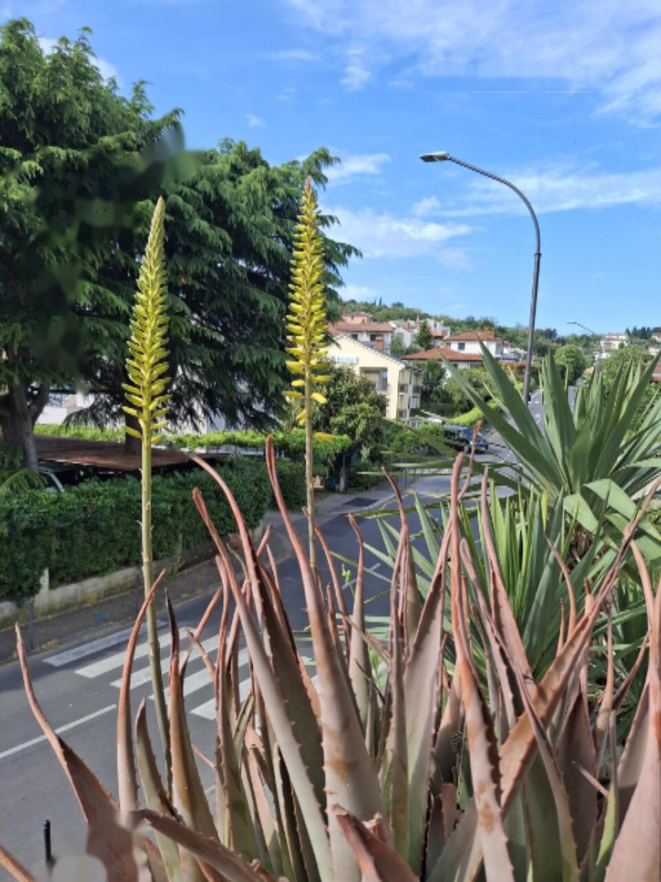 Appartement à Izola, Slovénie, 46 m² - image 1