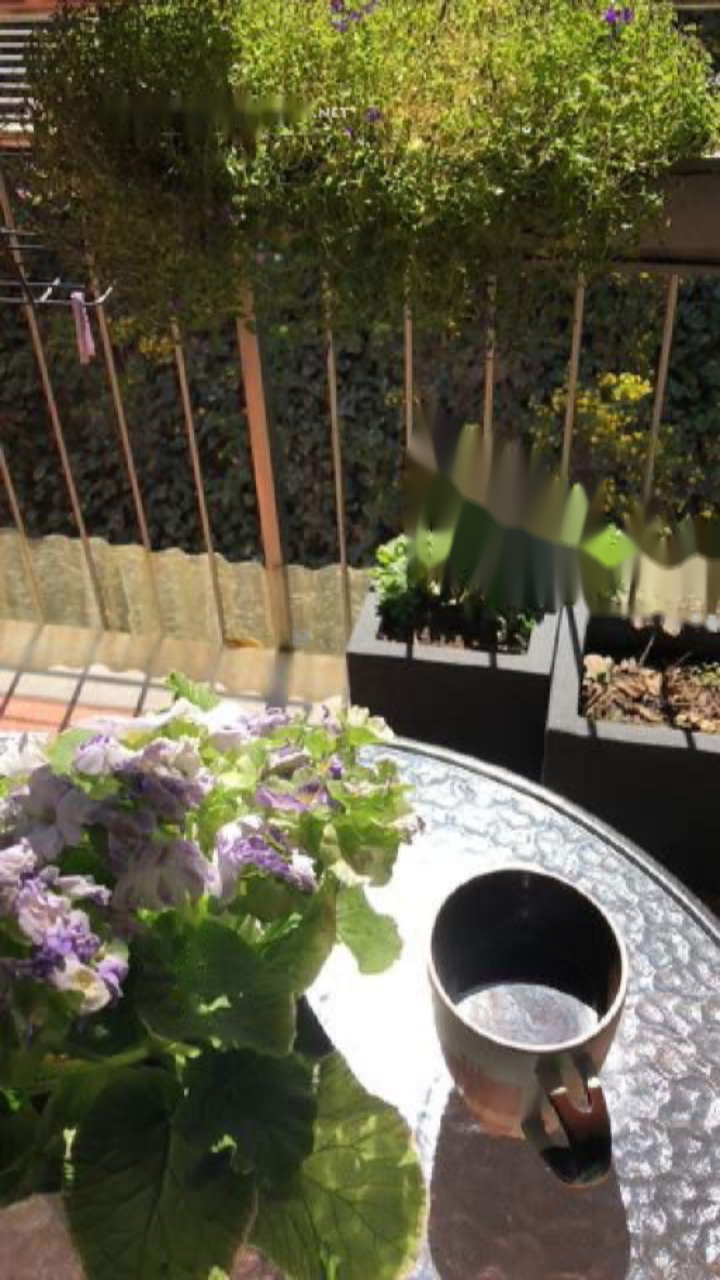 Piso en Koper, Eslovenia, 162 m² - imagen 4