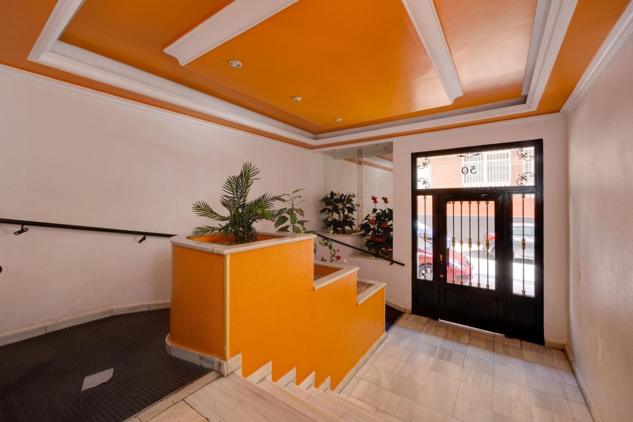 Studio in Torrevieja, Spain, 31 m² - picture 12