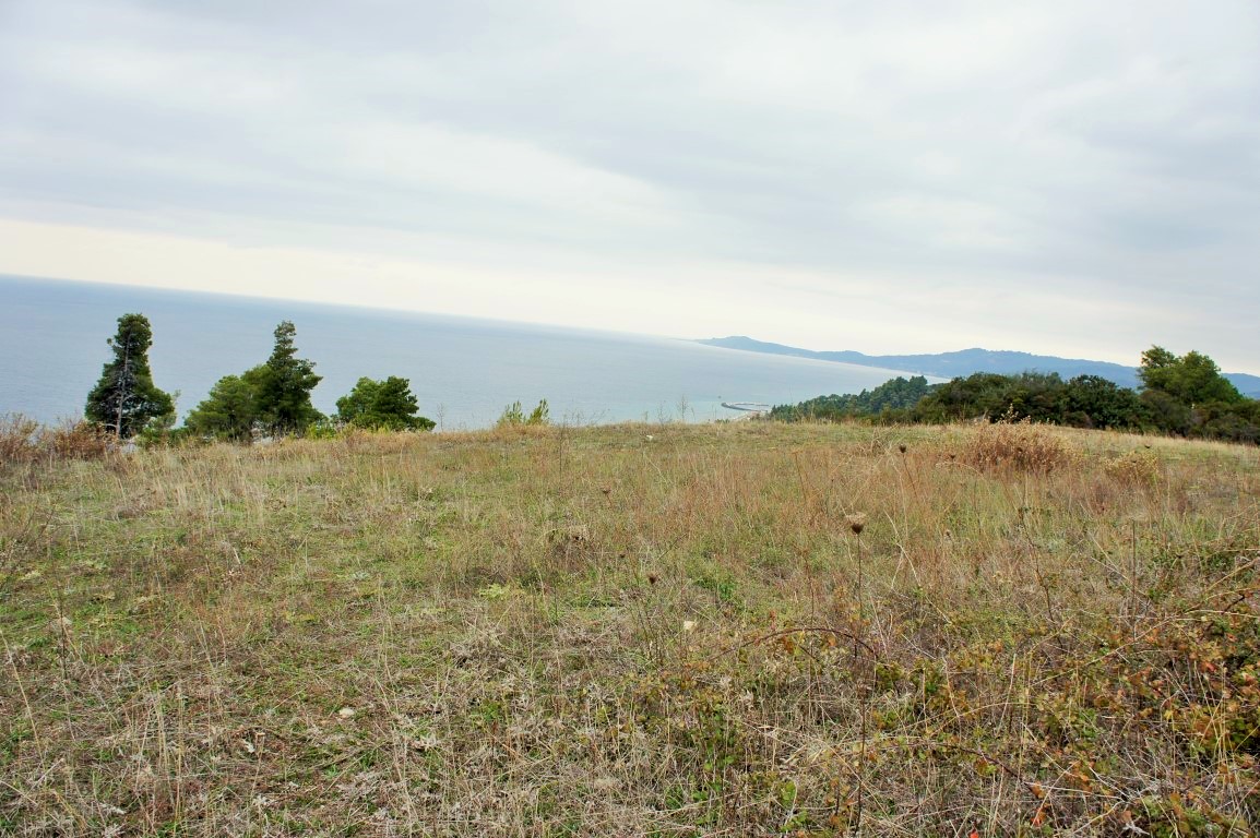 Land in Kassandra, Greece, 55 000 m² - picture 1