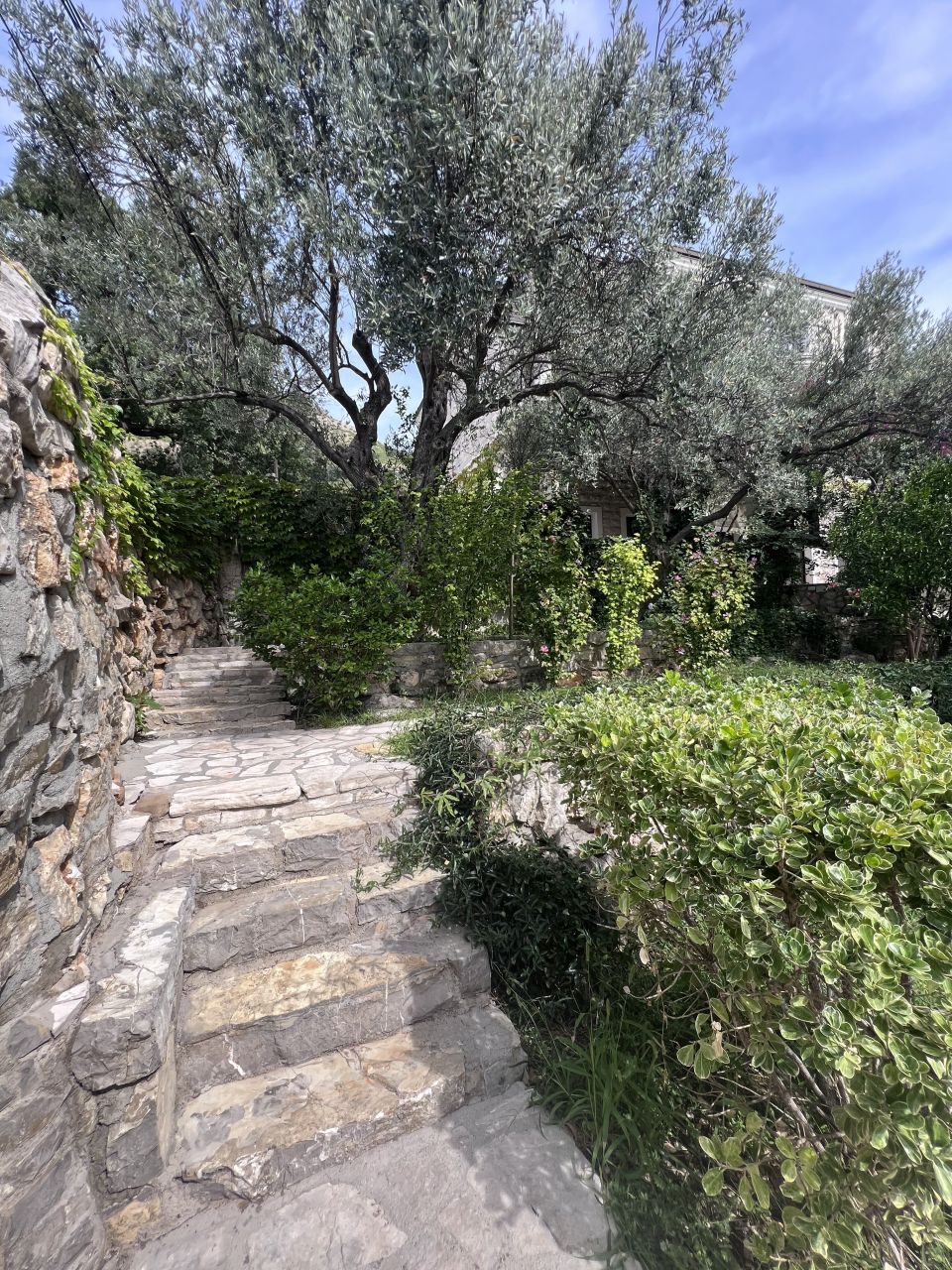 Villa à Rézévici, Monténégro, 550 m² - image 7