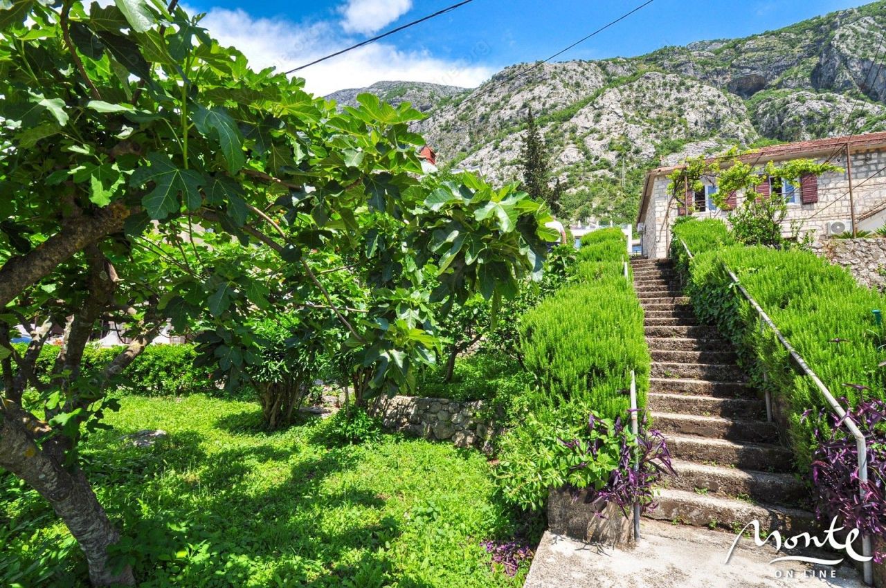 Land in Dobrota, Montenegro, 1 011 m² - picture 8