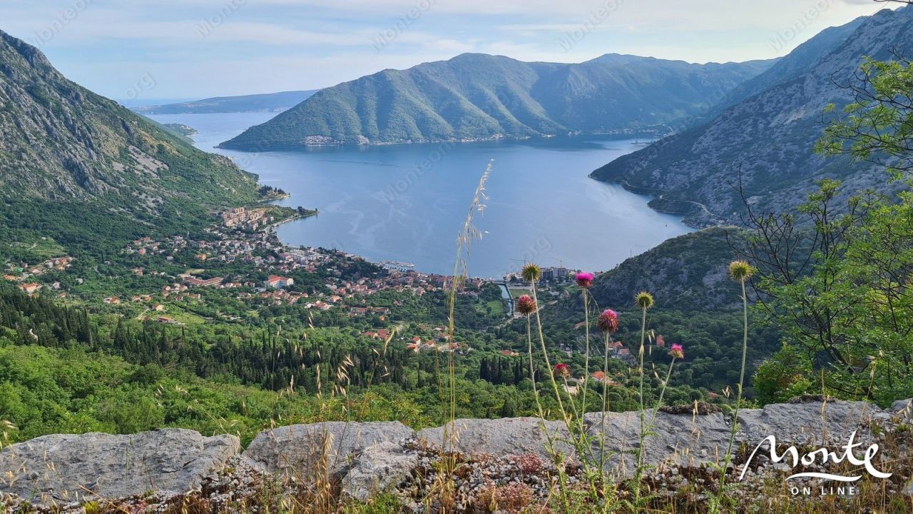 Terrain à Risan, Monténégro, 1 800 m² - image 11