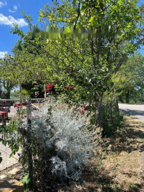 House in Portoroz, Slovenia, 200 m² - picture 7