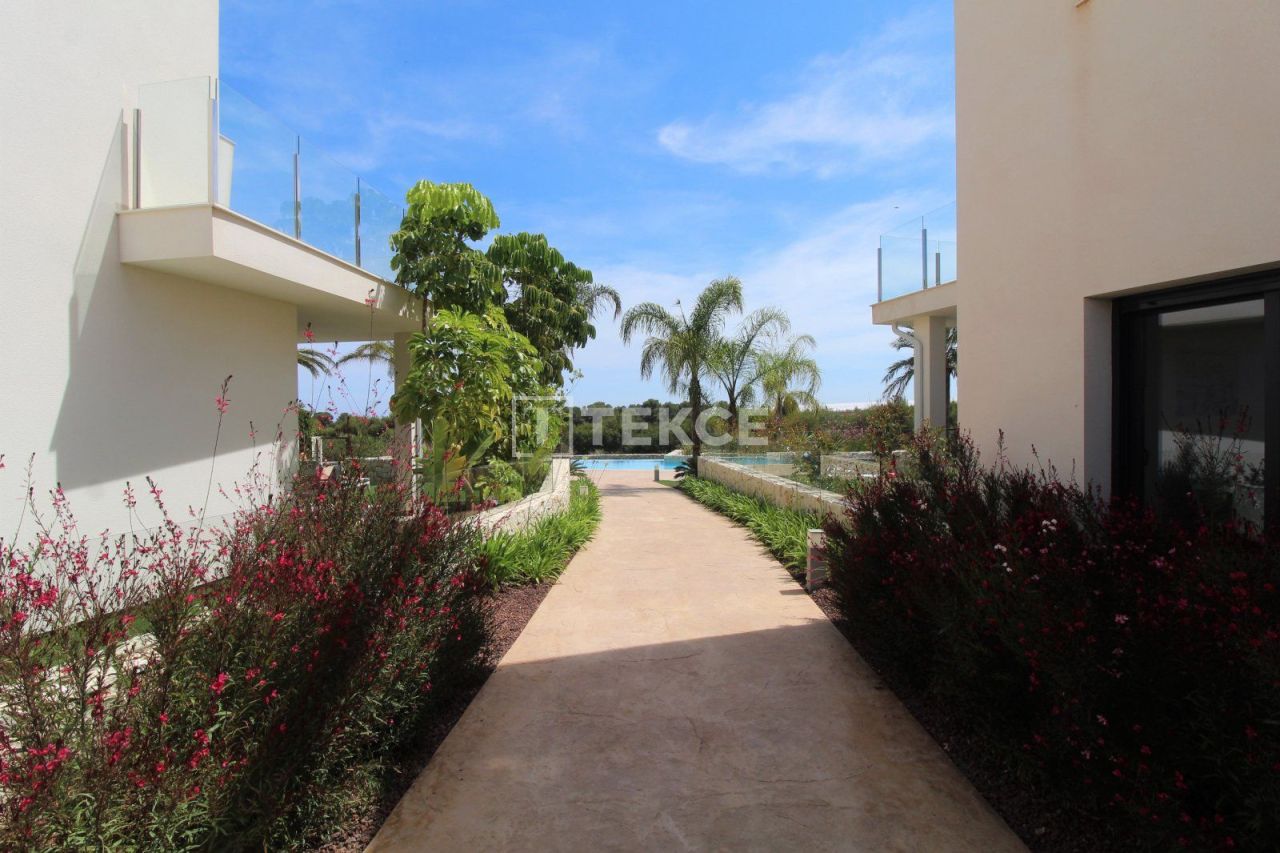 Appartement à Pilar de la Horadada, Espagne, 98 m² - image 12