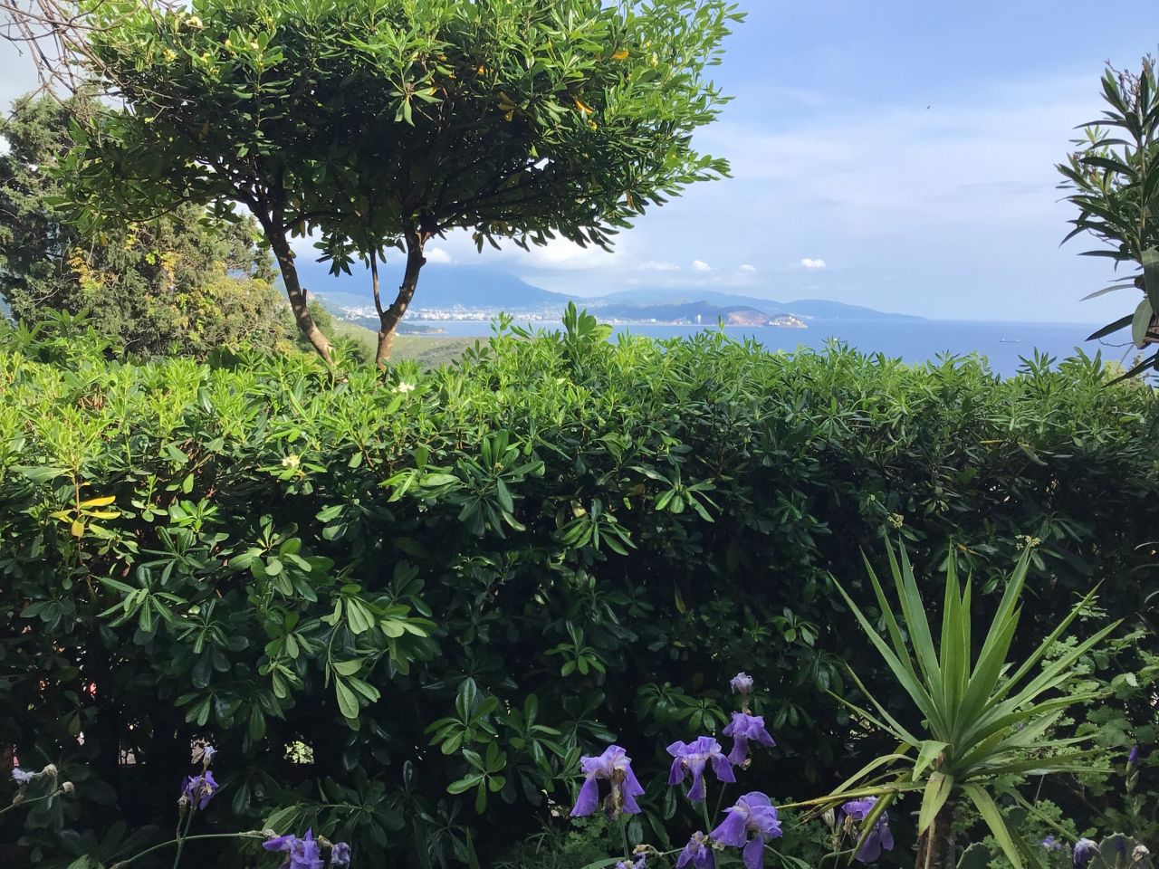 Casa en remodelacion en Sutomore, Montenegro, 260 m² - imagen 9