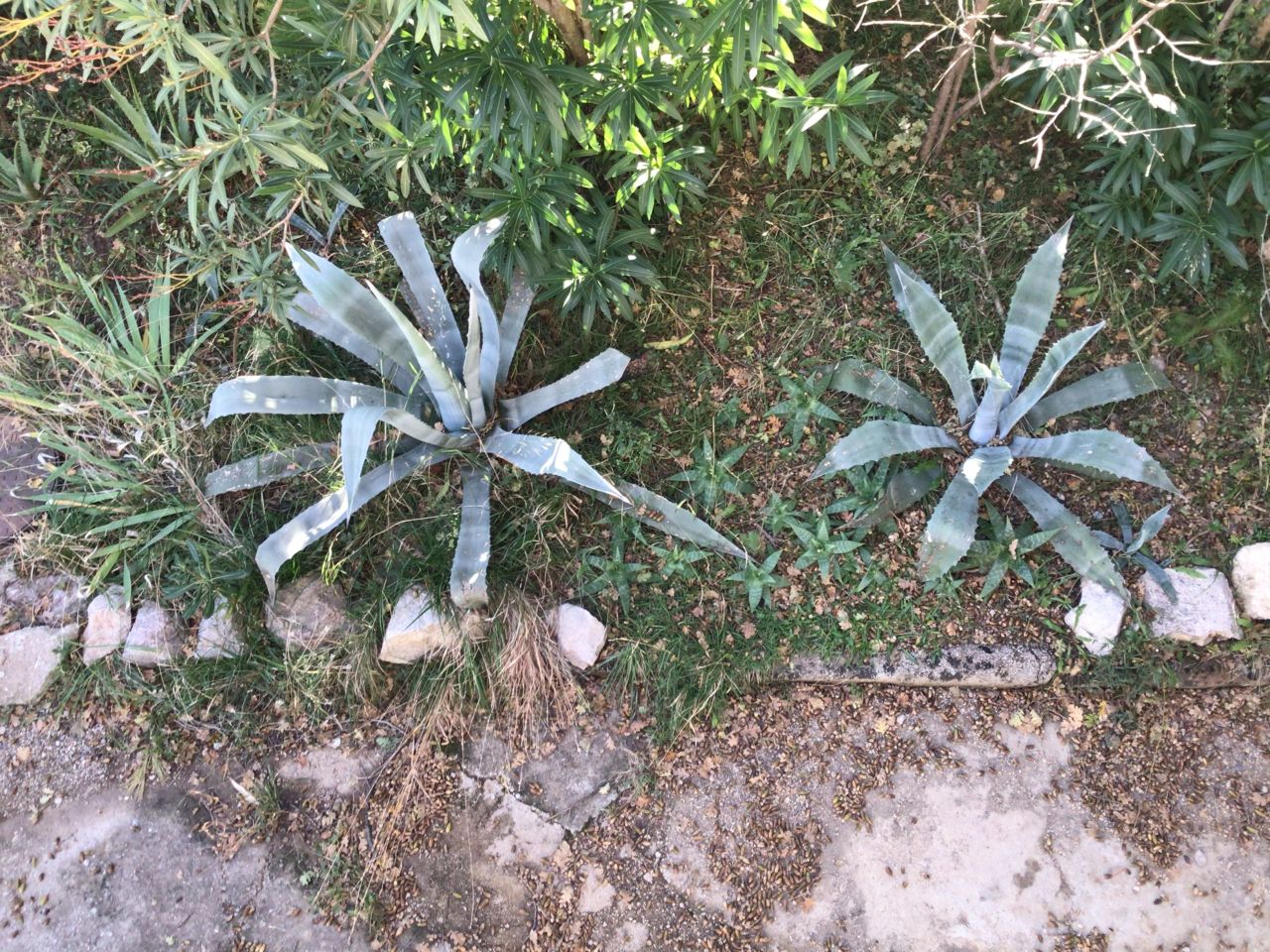 Casa en remodelacion en Sutomore, Montenegro, 260 m² - imagen 13