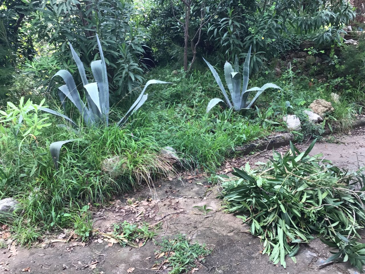 Casa en remodelacion en Sutomore, Montenegro, 260 m² - imagen 7