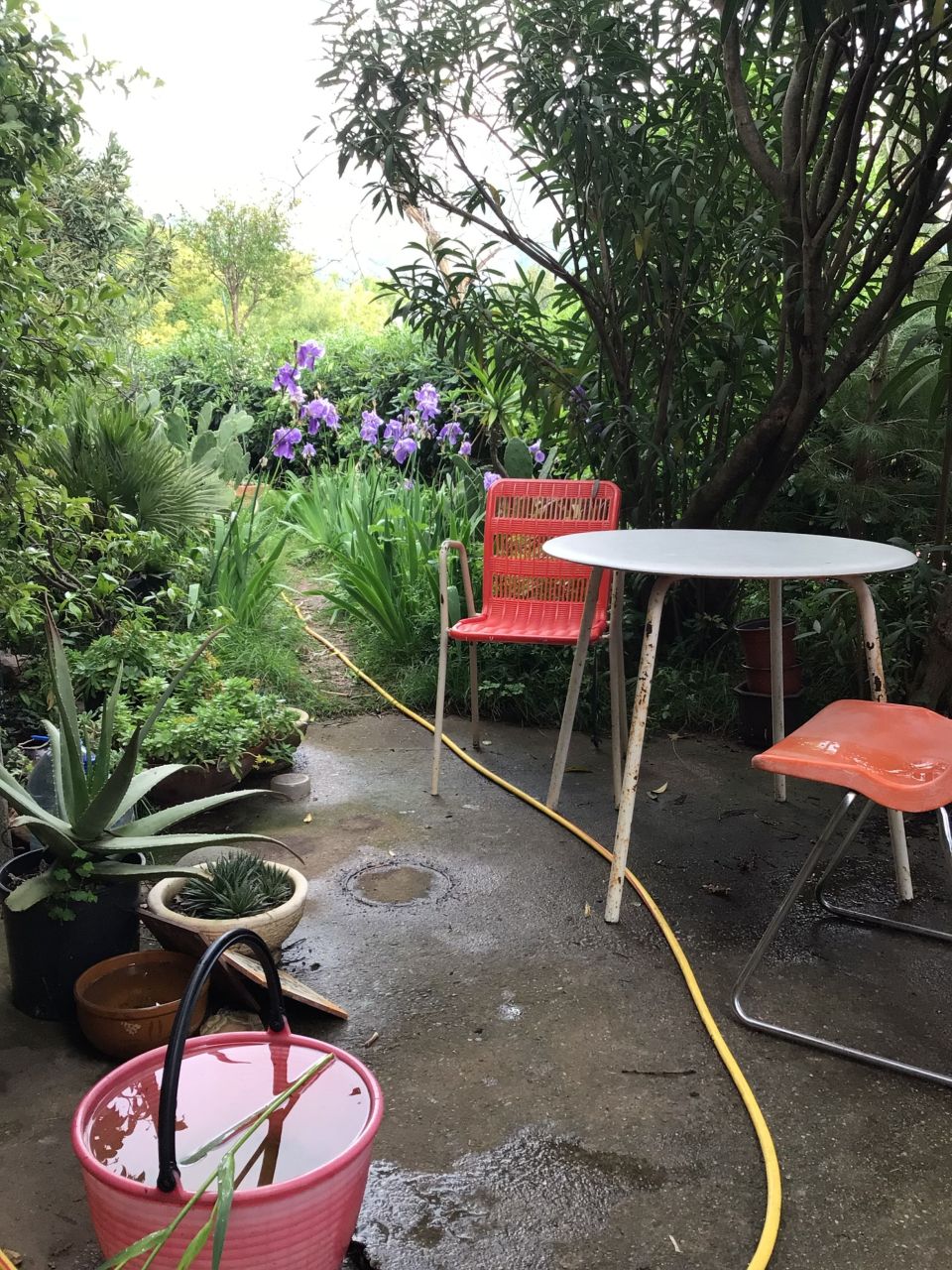 Casa en remodelacion en Sutomore, Montenegro, 260 m² - imagen 6