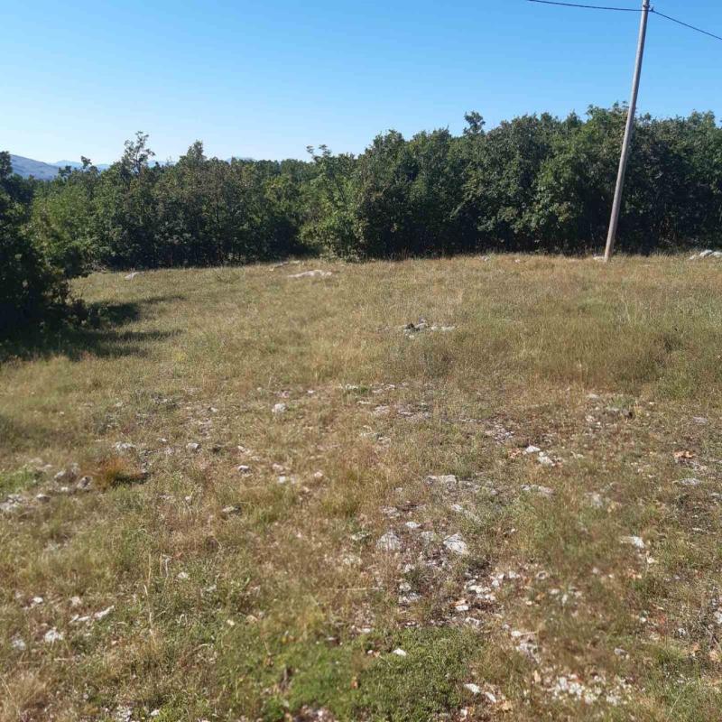 Grundstück in Niksic, Montenegro, 36 000 m² - Foto 1