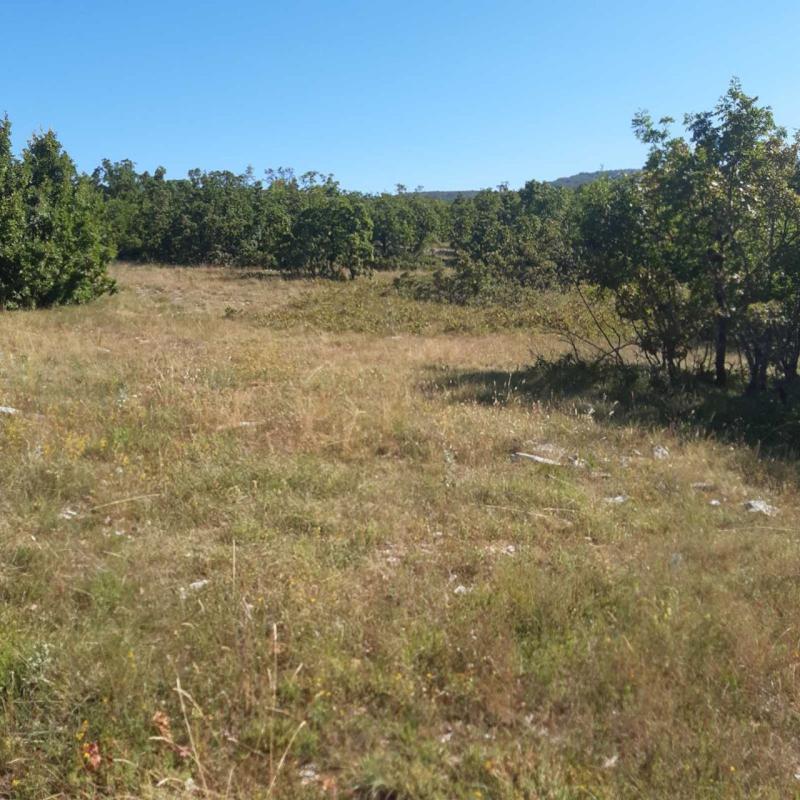 Terreno a Nikšić, Montenegro, 36 000 m2 - foto 4