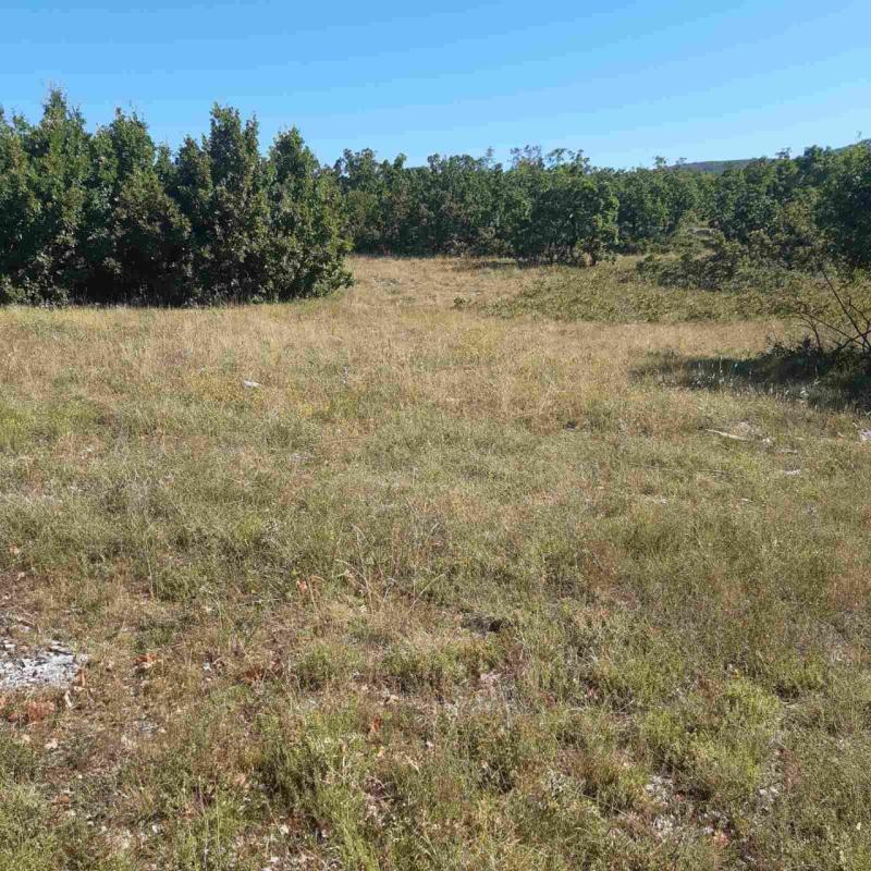 Terreno a Nikšić, Montenegro, 36 000 m2 - foto 5